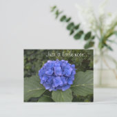  blauwe hortensia slechts een klein briefje briefkaart (Staand voorkant)