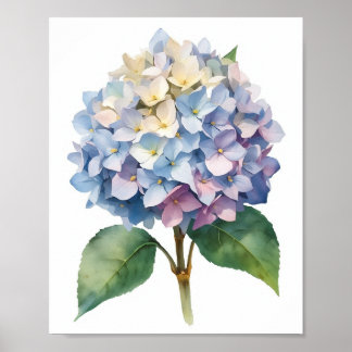 Blauwe Hortensia Watercolor Botanische Muurkunst Poster