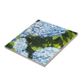 Blauwe Hortensia's in de Zon Tegeltje (Zijkant)