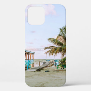 BLAUWE HOUDEN HUIS NORMAAL WATER iPhone 12 HOESJE