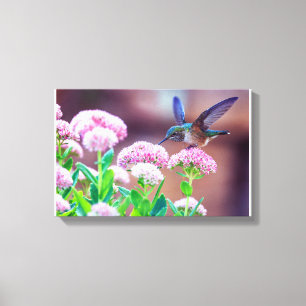 Blauwe Hummingbird Floral Stretted Canvas Afdrukke Afdruk