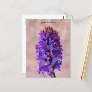 Blauwe Hyacint Ansichtkaart Briefkaart