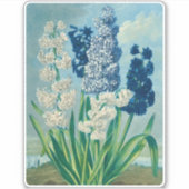 Blauwe hyacinten  botanische kunst sticker (Voorkant)
