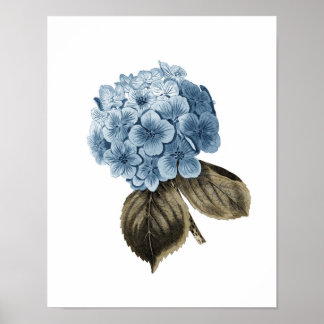 Blauwe Hydrangea Artwork #1 Botanische Wall Art Poster