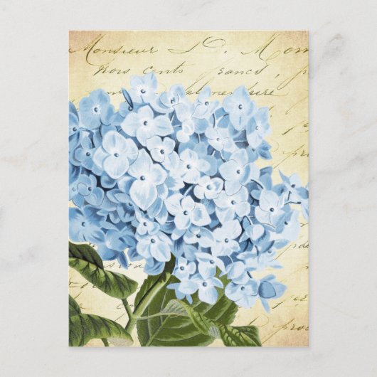 Blauwe hydrangea Bloem Botanisch Briefkaart (Voorkant)