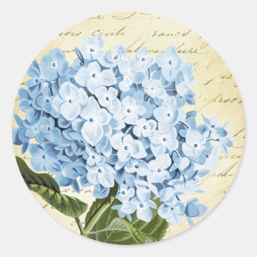 Blauwe Hydrangea Bloem Botanisch Ronde Sticker (Voorkant)