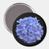 Blauwe Hydrangea Bloom Magnet Magneet (Voorkant / Achterkant)