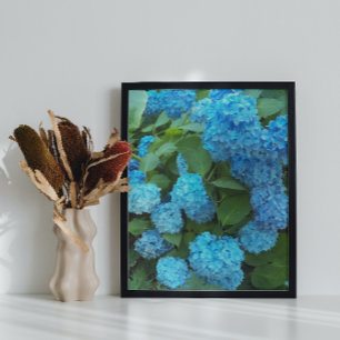Blauwe hydrangea Blooms Floral Perfect Poster