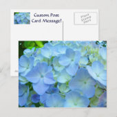 Blauwe hydrangea briefkaarten Floral postkaarten (Voorkant / Achterkant)