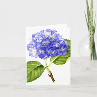 Blauwe Hydrangea hortensia Kaart