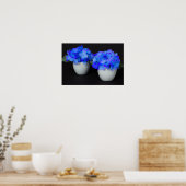 Blauwe hydrangebloemen in witte potten poster (Keuken)