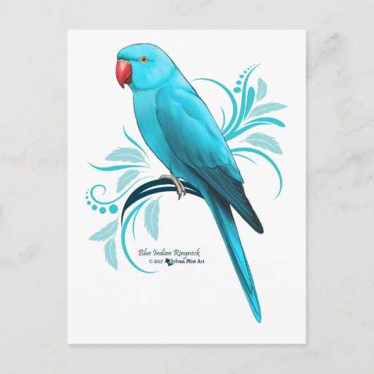 Blauwe Indische ringnek Parrot Briefkaart (Voorkant)