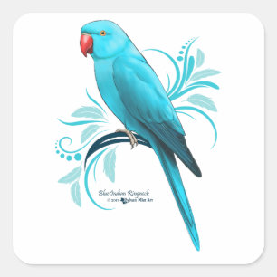 Blauwe Indische ringnek Parrot Vierkante Sticker