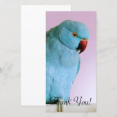 Blauwe Indische ringpoot met rode neus Bedankkaart (Voorkant / Achterkant)