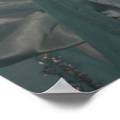 Blauwe inktvis, Venetië Poster (Hoek)