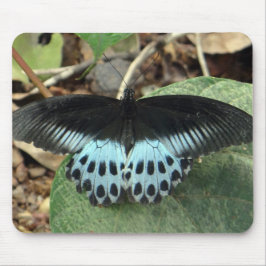 Blauwe Iridescent Mormon Butterfly Muismat