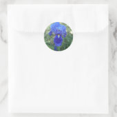 Blauwe iris 5 ronde sticker (Tas)