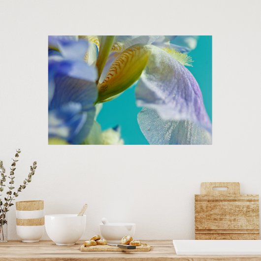 Blauwe iris, blauwe hemelcanvasafdruk poster (Keuken)