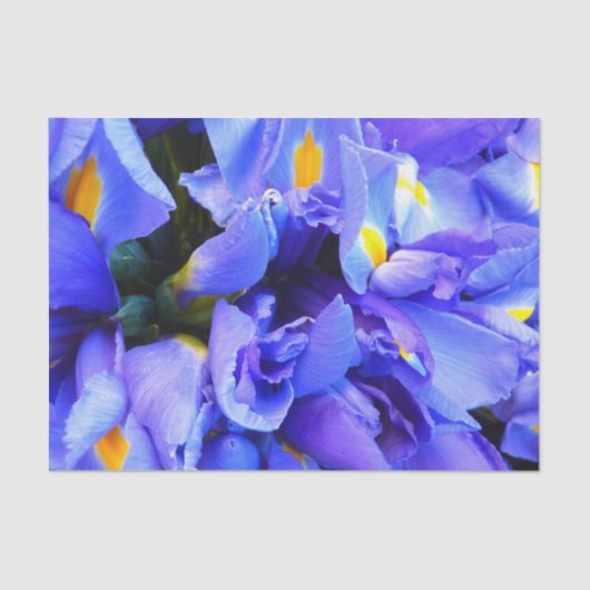 Blauwe Iris bloemen Tissuepapier (Voorkant)