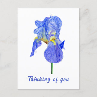 Blauwe Iris Denk Aan Jou Ansichtkaart Briefkaart