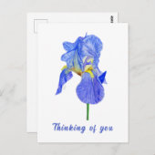 Blauwe Iris Denk Aan Jou Briefkaart (Voorkant / Achterkant)