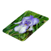 Blauwe Iris Magneet (Linkerzijde)