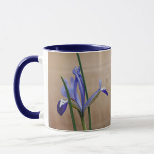 Blauwe iris reticulata Mok