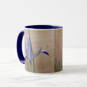 Blauwe iris reticulata Mok (Voorkant links)