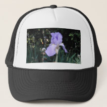 Blauwe Iris