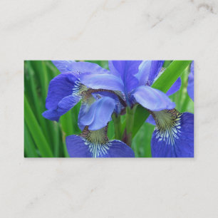blauwe irisbloemen visitekaartje