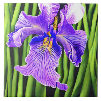 Blauwe irkleurige keramische Tegels Tegeltje