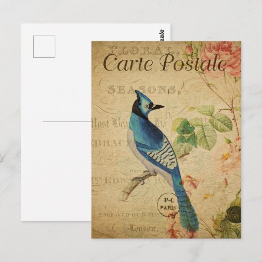 Blauwe Jay Briefkaart (Voorkant / Achterkant)