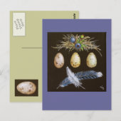blauwe jay-eieren met briefkaart van blauwe bessen (Voorkant / Achterkant)