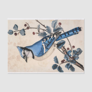 Blauwe Jay Illustratie Decoupage Tissuepapier