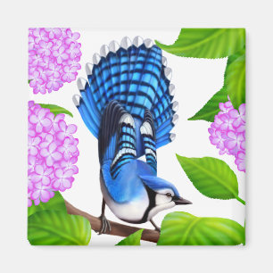 Blauwe Jay in Hydrangeas Vogelmagneet Magneet