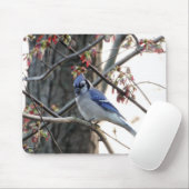 Blauwe jay muismat (Met muis)
