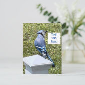 blauwe jay op post aangepaste briefkaarten (Staand voorkant)