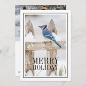 Blauwe Jay Perched op Snowy Fence Feestdagenkaart (Voorkant / Achterkant)