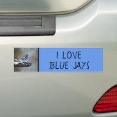 Blauwe jay-schildering - Oorspronkelijke vogelkuns Bumpersticker (Op auto)
