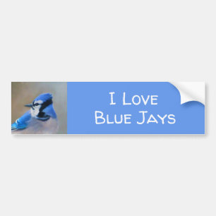 Blauwe jay-schildering - Oorspronkelijke vogelkuns Bumpersticker