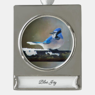 Blauwe jay-schildering - Oorspronkelijke vogelkuns Verzilverd Banner Ornament