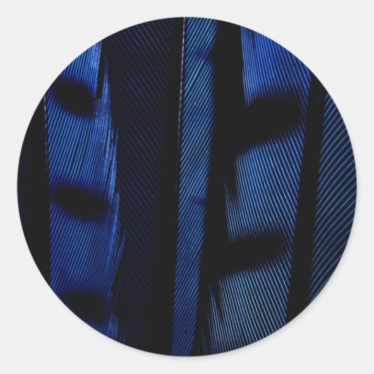 Blauwe jay veren ronde sticker (Voorkant)