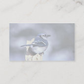 Blauwe jay visitekaartje (Achterkant)
