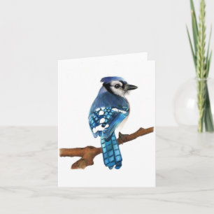 Blauwe Jay-vogelblanco Gevouwen Wenskaart Kaart