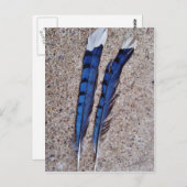 Blauwe Jay-vogelveren Briefkaart (Voorkant / Achterkant)