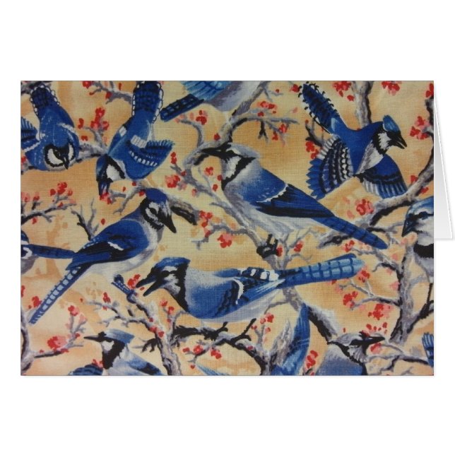 Blauwe Jays (Voorkant Horizontaal)