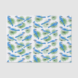  blauwe Jays bij eenduidige pinebomen Tissuepapier