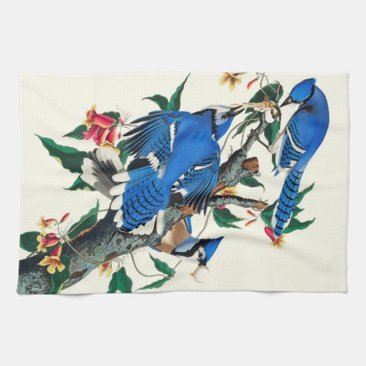 Blauwe Jays  Theedoek (Horizontaal)