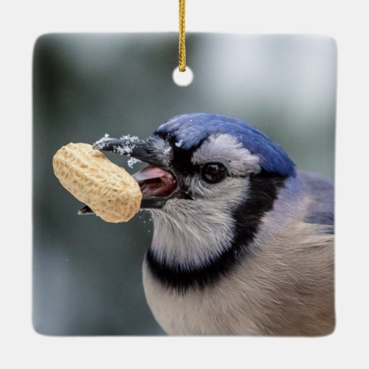 Blauwe kap met pinda's keramisch ornament (Achterkant)