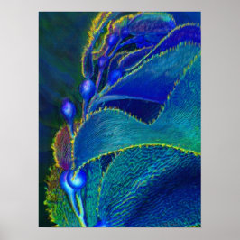 blauwe kelp poster